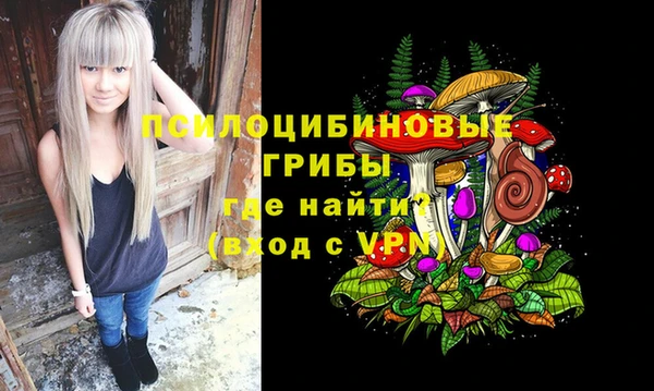 амф Абдулино