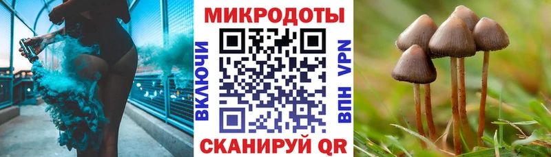 Галлюциногенные грибы GOLDEN TEACHER  Азнакаево 