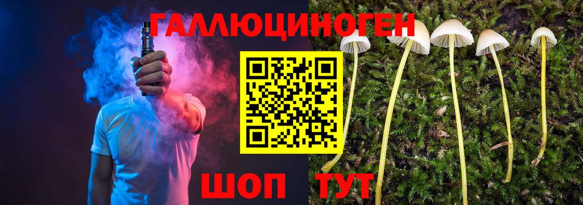 Галлюциногенные грибы MAGIC MUSHROOMS  даркнет сайт  Псилоцибиновые грибы Psilocybe  Азнакаево  Вход с VPN 